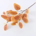 branche deucalyptus fraiche orange 1 deucalyptus 868 1