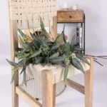 Branche D’eucalyptus Globulus Pour Un Parfum Naturel Apaisant