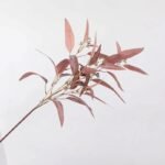 branche deucalyptus globulus pour un parfum naturel apaisant 829 1