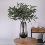 branche deucalyptus globulus pour un parfum naturel apaisant 880 1