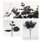 branche deucalyptus naturelle et aromatique deucalyptus 788 1