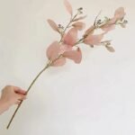 branche deucalyptus naturelle pour decoration deucalyptus 885 2