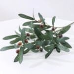 Branche D’olivier - élégance Naturelle Pour Votre Décor - Avec Olives