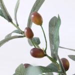 branche dolivier elegance naturelle pour votre decor dolivier 169 1
