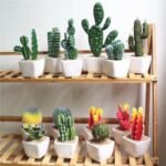 cactus artificiel decoratif pour un ambiance naturelle a domicile 642 1