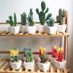 Cactus Artificiel Décoratif Pour Un Ambiance Naturelle à Domicile