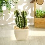 Cactus Artificiel Décoratif Pour Un Ambiance Naturelle à Domicile - Cactus à Crête