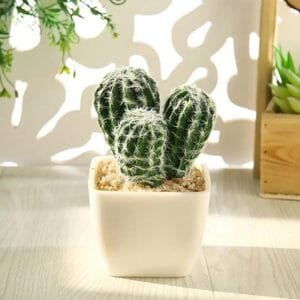 Cactus Artificiel Décoratif Pour Un Ambiance Naturelle à Domicile - Cactus Sphérique