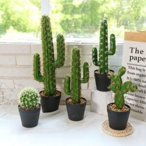 cactus decor pour votre interieur 297 2
