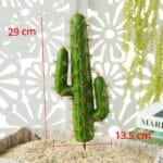 Cactus Décor Pour Votre Intérieur