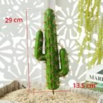 cactus decor pour votre interieur 319 2