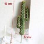 Cactus Décor Pour Votre Intérieur