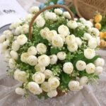 Petite Plante Grasse Artificielle En Pot Pour Décoration Intérieure