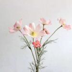 camomille tisane apaisante et relaxante rose clair 594 2