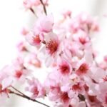 cerisier artificiel fleurs de pour decoration interieure 286 1
