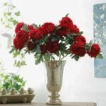 Chrysanthème – élégance Florale Intemporelle
