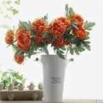 Chrysanthème – élégance Florale Intemporelle