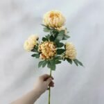 Chrysanthème – élégance Florale Intemporelle