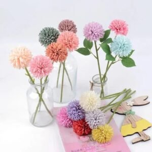 chrysantheme fleurs elegantes pour toutes occasions 168 1