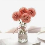 chrysantheme fleurs elegantes pour toutes occasions 248 1