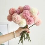 chrysantheme fleurs elegantes pour toutes occasions 440 1