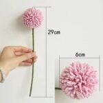 chrysantheme fleurs elegantes pour toutes occasions 873 1
