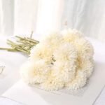 chrysantheme fleurs elegantes pour toutes occasions blanc 3 299 1
