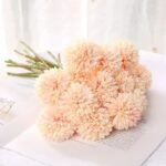 chrysantheme fleurs elegantes pour toutes occasions champagne 3 240 1