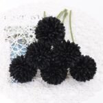 chrysantheme fleurs elegantes pour toutes occasions noir 3 426 1