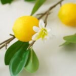 citronnier artificiel eclat naturel pour votre decor interieur 902 1