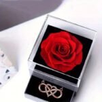 Collier Infini Saint Valentin – Rose éternelle à Porter