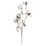 Coton Doux Et Confortable Pour Vos Besoins Quotidiens