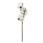 Coton Doux Et Confortable Pour Vos Besoins Quotidiens
