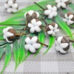 Coton Doux Et Durable Pour Tous Vos Besoins Textiles