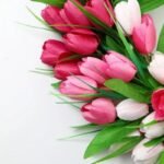 Couronne De Fleurs élégante Et Colorée – Tulipes