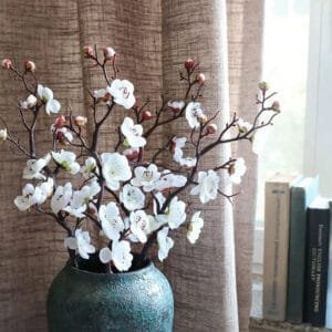 Crème Parfumée Fleur De Prunier