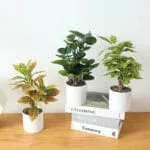 Croton Artificiel En Pot Pour Une Touche De Verdure Intérieure
