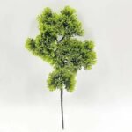 Cyprès : élégance Naturelle Et Durable Pour Votre Espace