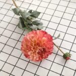 dahlia elegance florale pour votre interieur rose orange 865 1