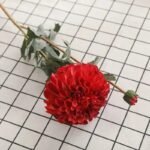 dahlia elegance florale pour votre interieur rouge 876 1