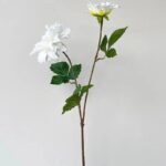 dahlia fleur eclatante et elegante pour vos espaces blanc 612 1