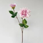 dahlia fleur eclatante et elegante pour vos espaces rose 390 1
