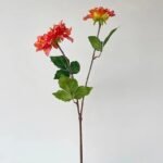 dahlia fleur eclatante et elegante pour vos espaces rouge 988 1
