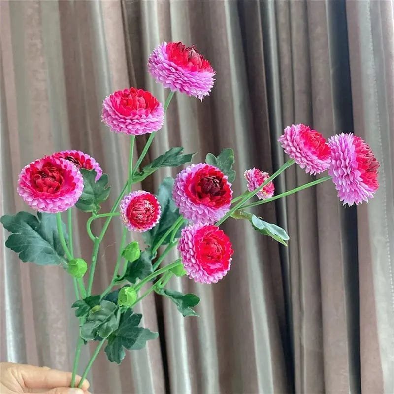 dahlia pompon fleurs colorees pour decoration et jardinage 395 1
