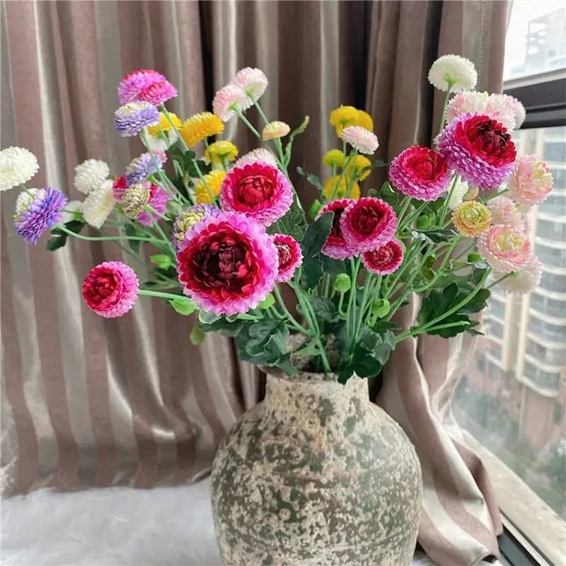 dahlia pompon fleurs colorees pour decoration et jardinage 819 1