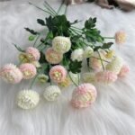 dahlia pompon fleurs colorees pour decoration et jardinage 935 1