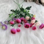 dahlia pompon fleurs colorees pour decoration et jardinage 988 1