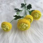 dahlia pompon fleurs colorees pour decoration et jardinage jaune 475 1
