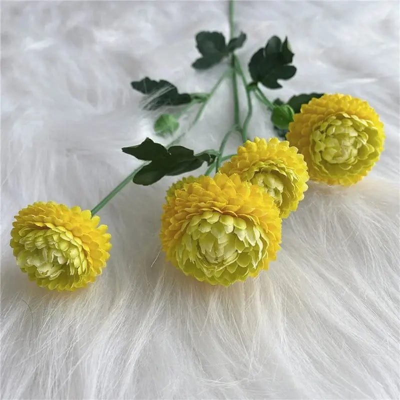 dahlia pompon fleurs colorees pour decoration et jardinage jaune 475 1