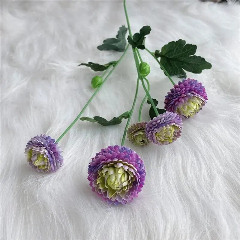 dahlia pompon fleurs colorees pour decoration et jardinage violet 851 1